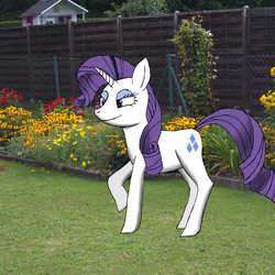 My Little Pony